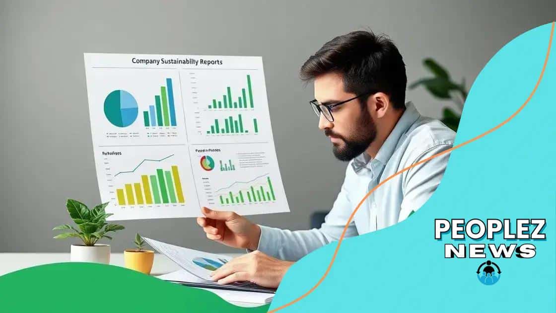 How to assess sustainability in companies